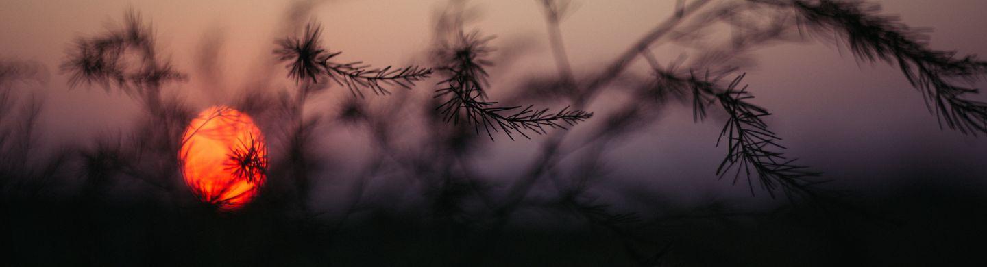 Pitru Paksha – A Modern Guide to Honoring Ancestors - Divine Whisper Astrology