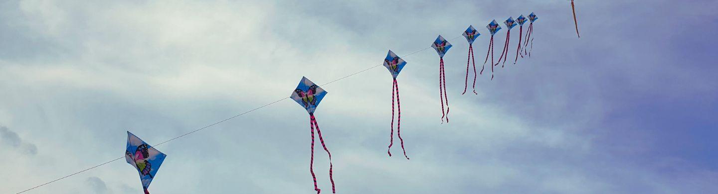 Kite Flying Festival in India - Makar Sankranti - Divine Whisper Tarot Reading